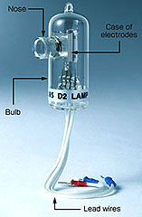 Structure of electrode