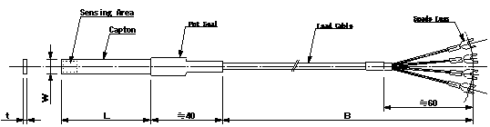 Dimensions of Very Thin Thermometer